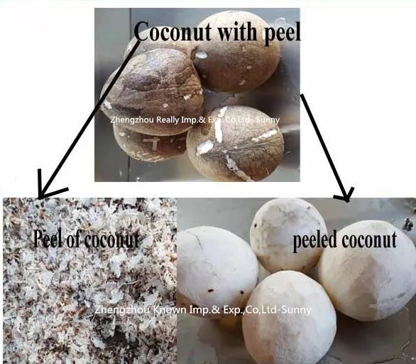 Кокосовая пилинг машина/Кокосовая Овощечистка/Кокосовая пилинг машина для резки