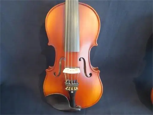 Beautiful-brown-colors-5-strings-4-4-electric-violin-Acoustic-violin (1)