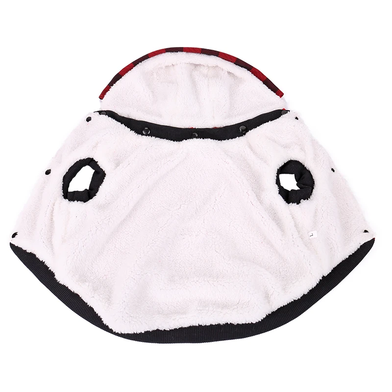 IMG_4062