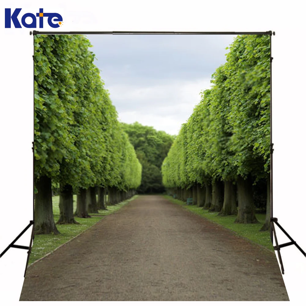 

10*20Feet(300*600Cm) Photography Background Fotografia Tree Woods Road Photography Backdrops