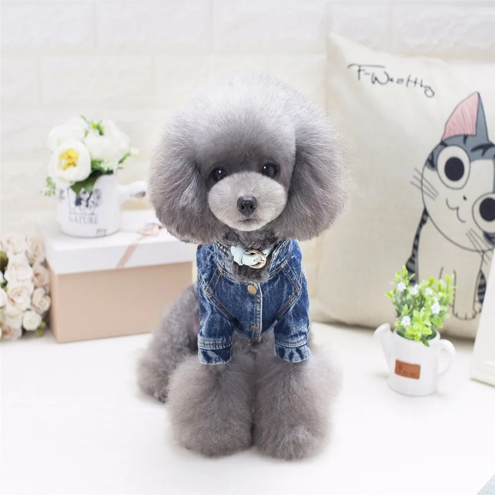 Y74_New_design_Winter_Pet_Dog_Jean_Jacket_Clothes_Cool_Cartoon_design_Puppy_Dog_Denim_Coats_clothing_for_chihuahua_ (7)