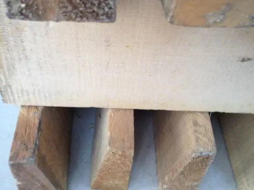 

Wood-----10pcs 1st class aged spruce wood for violin top making