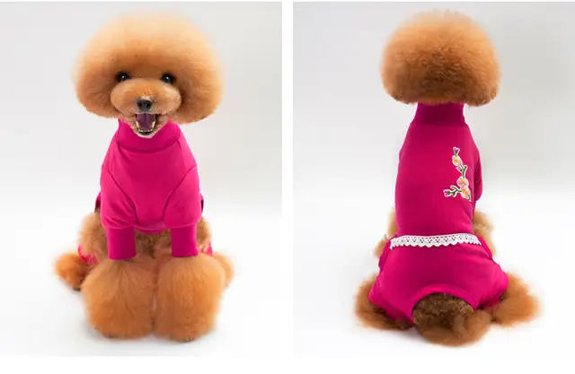 Chien Combinaisons Vêtements Pour Chien Ours En Peluche