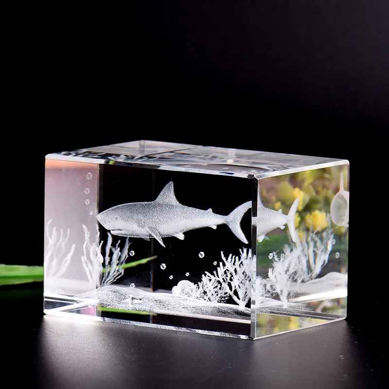 Shark Specimen Diver Gift Marine Life Fish Aquarium Souvenir To Diver Gift Marine Life Fish Aquarium
