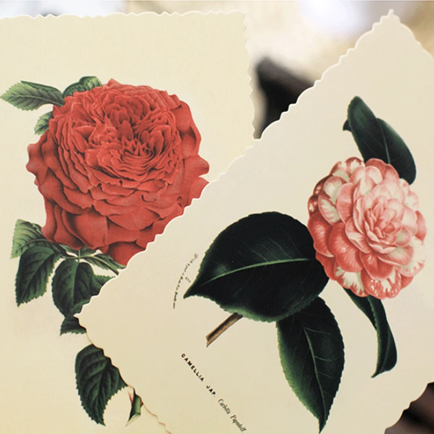 4 пачки/лот винтажная открытка с цветами и растениями мульти бизнес поздравительная бумажная открытка этикетка для приглашения