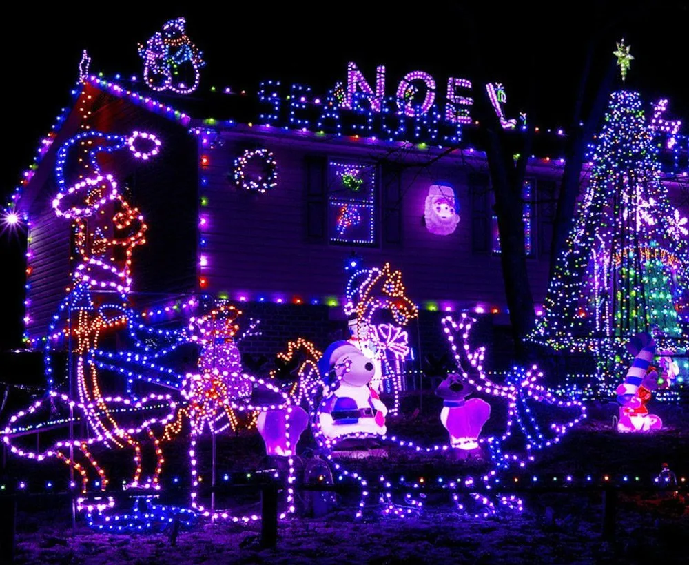 LED Solar Rope Lights Waterproof 7M 50 LEDs Portable with Light Sensor Outdoor Rope Lights