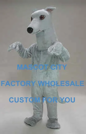 greyhound fancy dress outfits