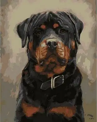 rottweiler wall art