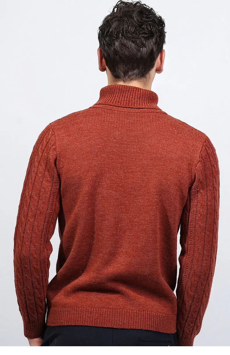 3Colors Turtleneck Sweater Pullovers Men Thick knitted Sweater Jumpers Man Winter Warm Acrylic Male knitwear Autumn Tmall Brand-13