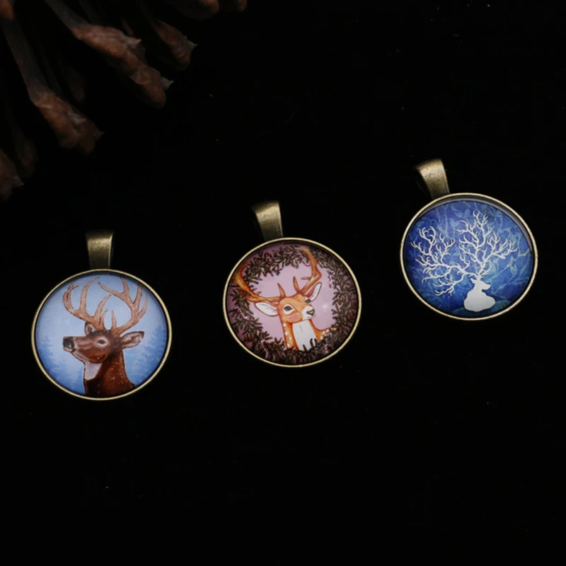 7995074335_1398252688