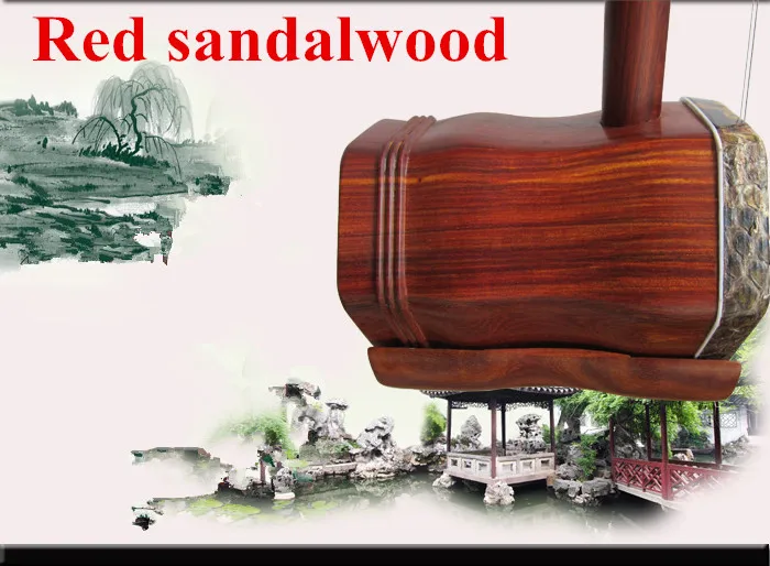 Best 2024 erhu music