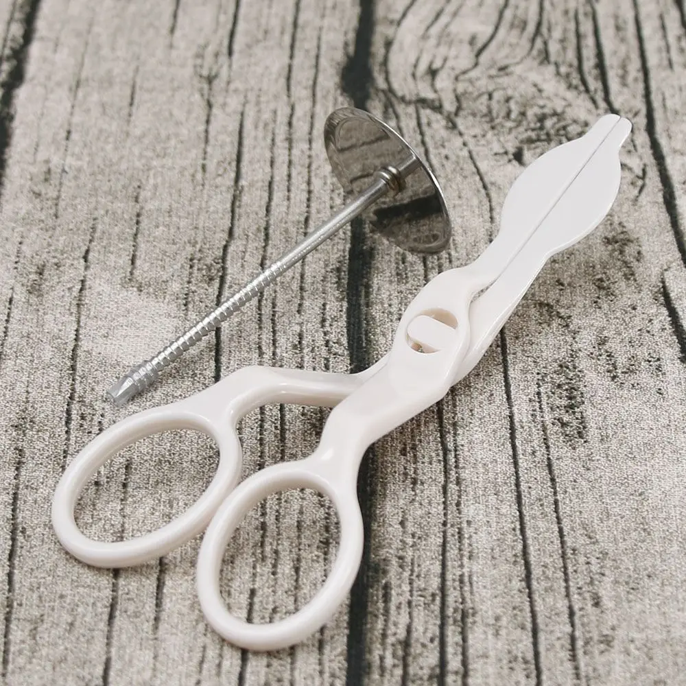 

2Pcs/Set Cake Decoration Flower Stand Nail Scissor Cream Flower Baking Tool New
