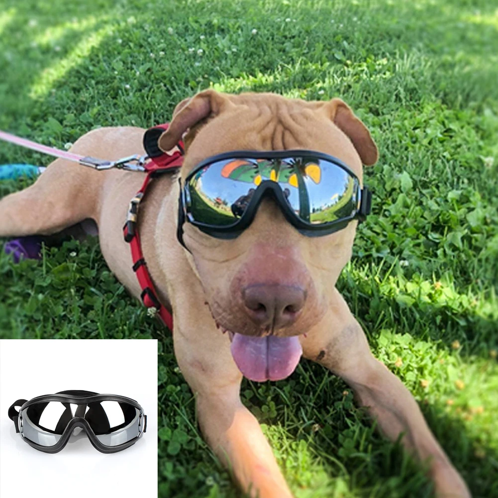 Очки для собак, защитные очки, солнцезащитные очки, водонепроницаемые, защита от ветра