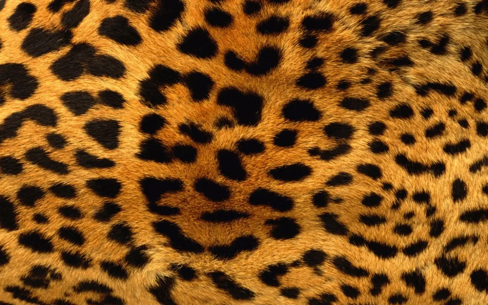 HTB1tDxPcQKWBuNjy1zjq6AOypXa4