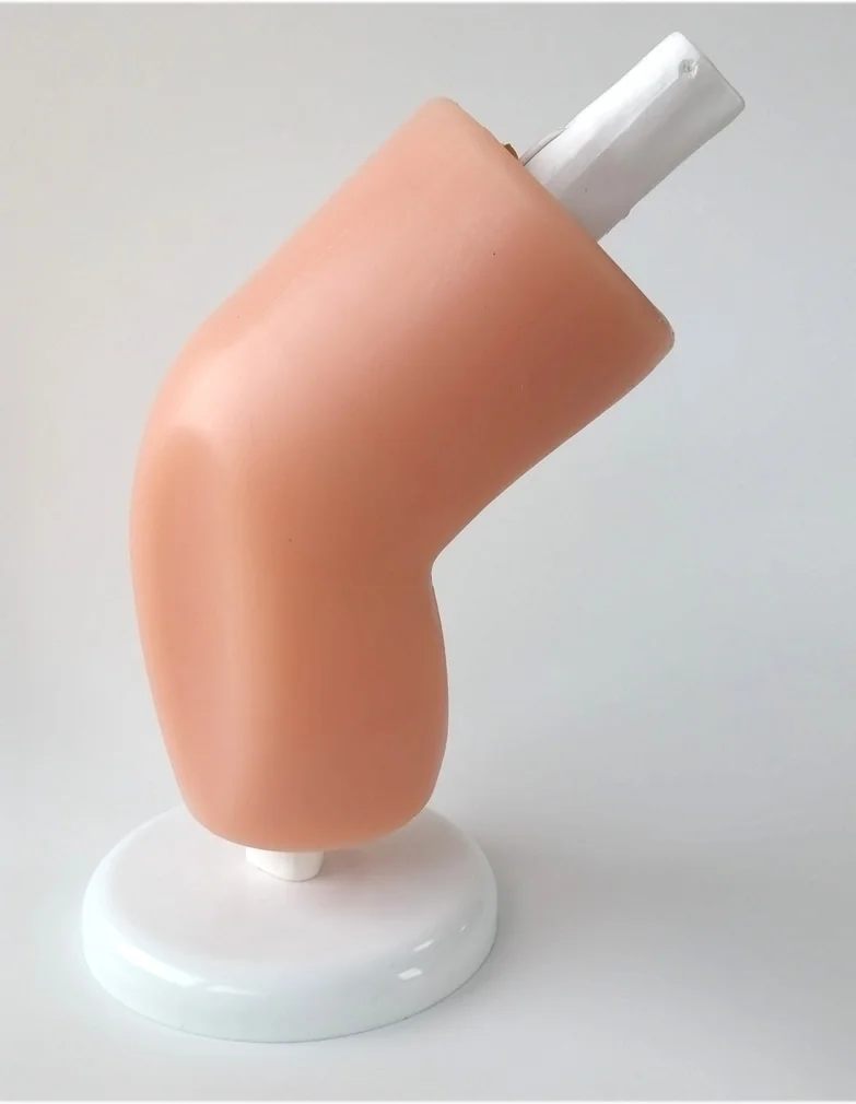 

Simulator for arthroscope, arthroscopic training knee model