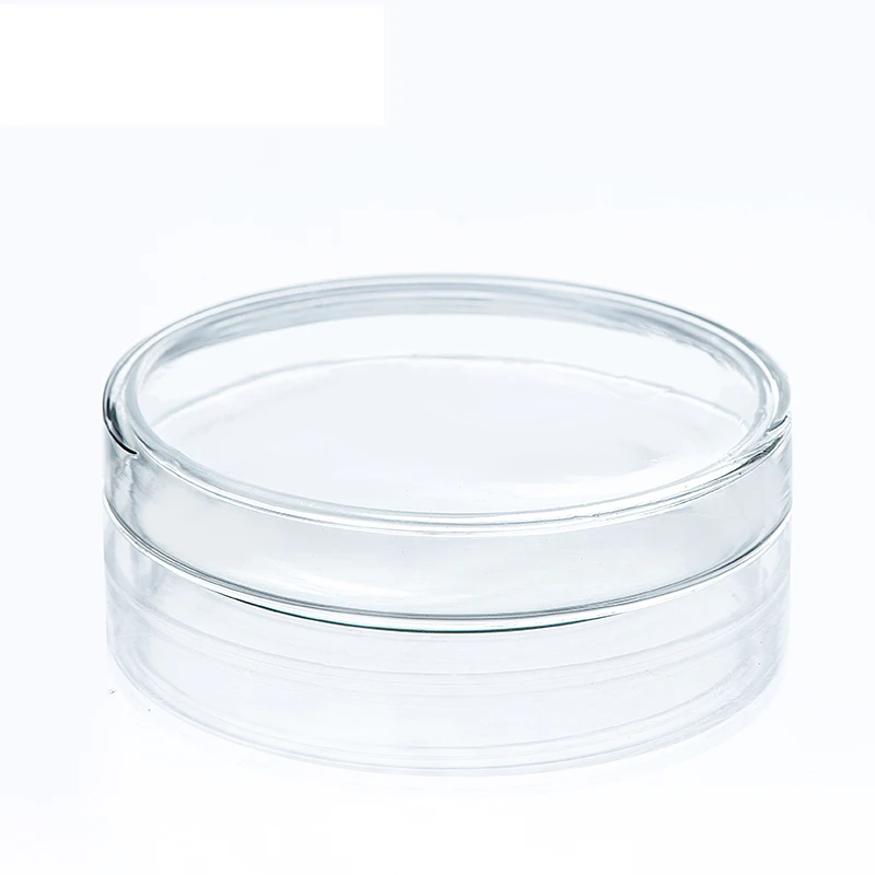 Borosilicate Glass Petri Dishes Bacteria Petri Dishes 60mm High