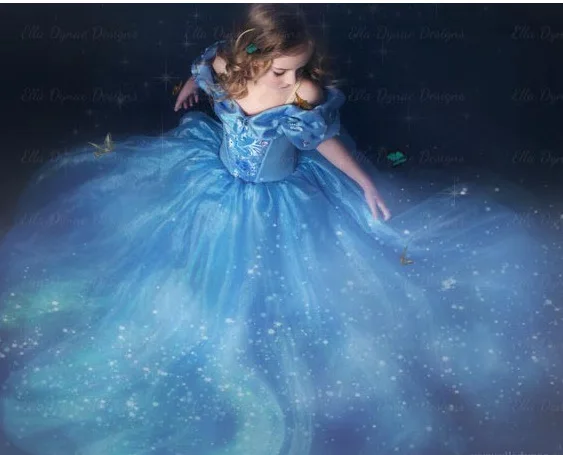 cinderella birthday dress