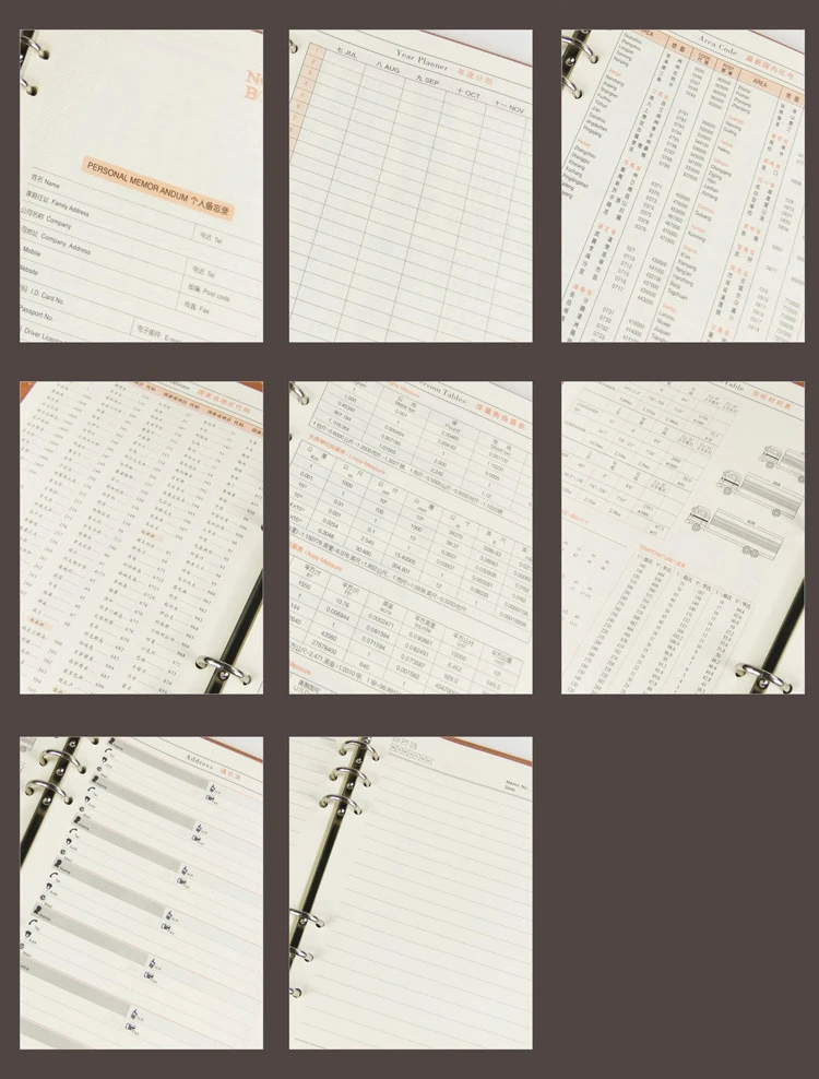 hjs (2)