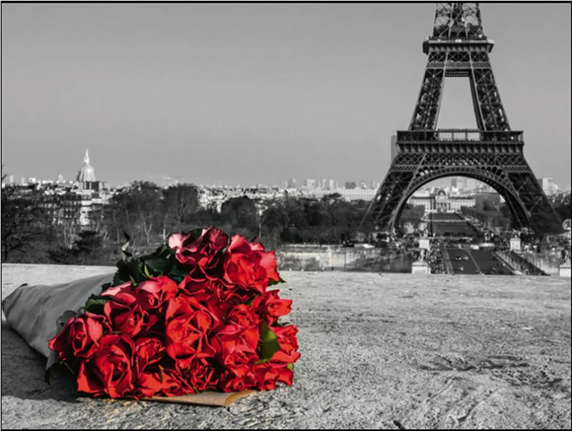 Diy Полная Алмазная Картина Красная и черная серия городская башня красные розы 3d вышивка крестиком Алмазная вышивка украшение дома - Цвет: 28