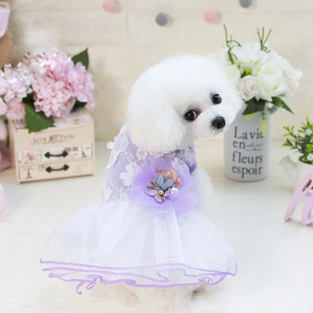 Новое поступление, платье с цветочным принтом для собак и домашних животных, одежда для кошек, кружевное воздухопроницаемое платье, vestido perro