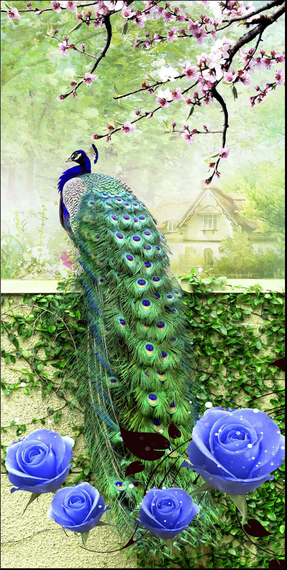 11