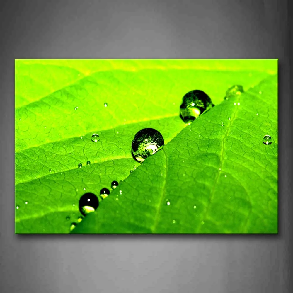 

Framed Wall Art Pictures Water Drops Green Leaf Canvas Print Botanical Modern Posters With Wooden Frames For Living Room