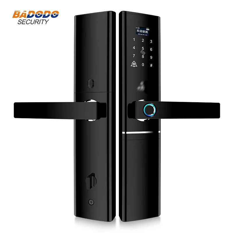 

smart Fingerprint Door Lock For Home Anti-theft Intelligent Lock Password &Card Biometric electric fingerprint lock