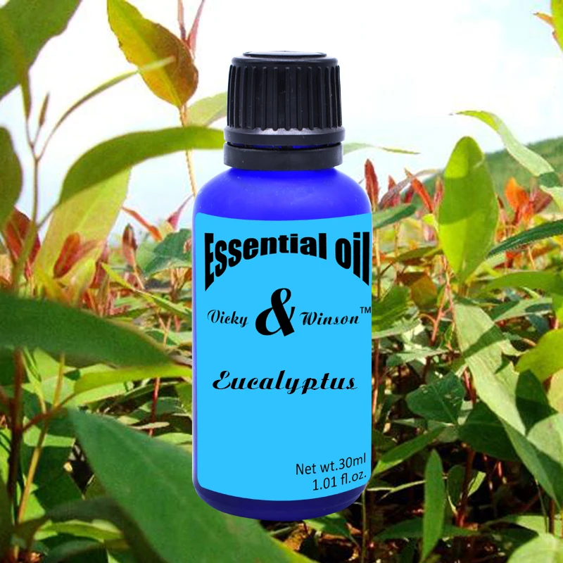 

Vicky&winson Eucalyptus aromatherapy essential oils 30ml water-soluble aromatherapy lamp humidifier special bedroom sleep VWXX1