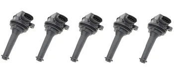 

Set of 5pcs Ignition Coils For Volvo C70 S60 S70 S80 V70 XC70 XC90 1999 2000 2001 2002-2007 9125601 One Year Quality Warranty
