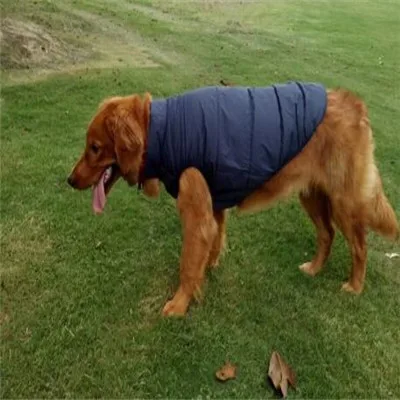 3010