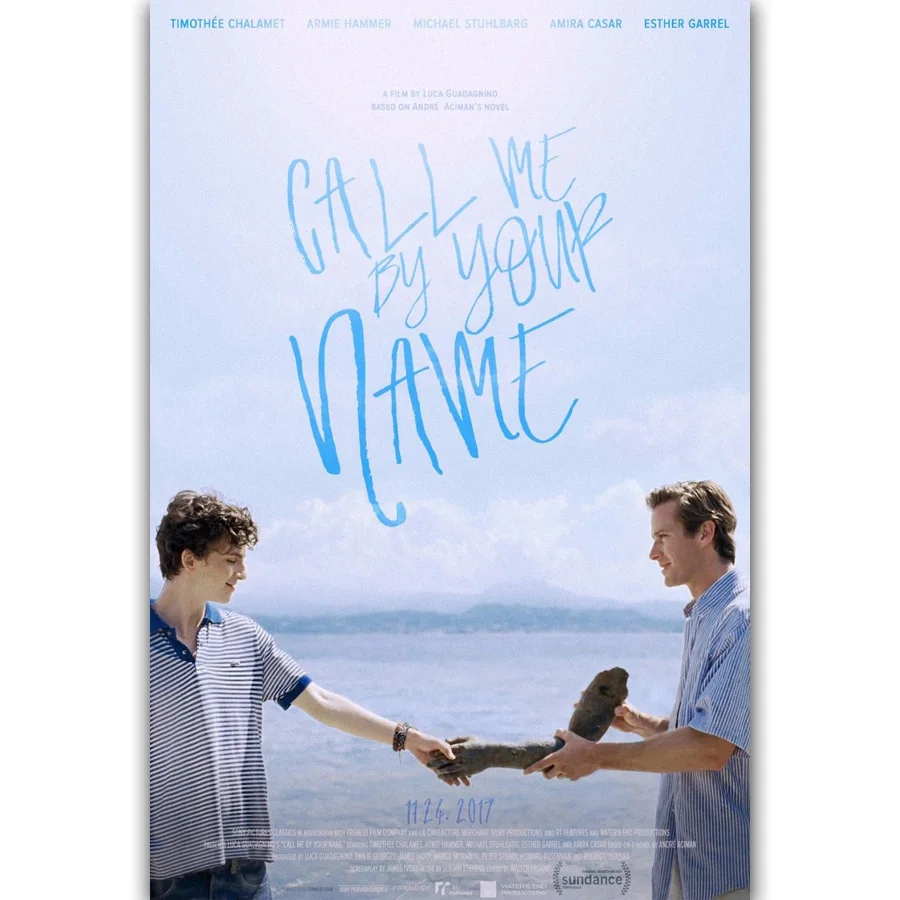 MQ099 Call Me By Your Name 2017 Movie Luca Guadagnino Film Movie Hot