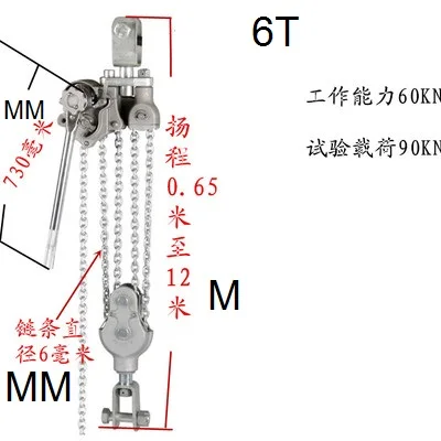 6T