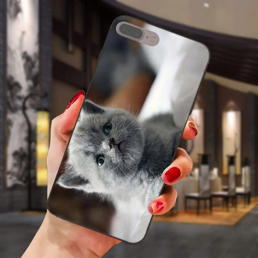 Серая кошка с Zenit камерой для Huawei Honor 5A 6A 6C 7A 7C 7X 8A 8C 8X 9 10 P8 P9 P10 P20 P30 Mini Lite Plus мягкая