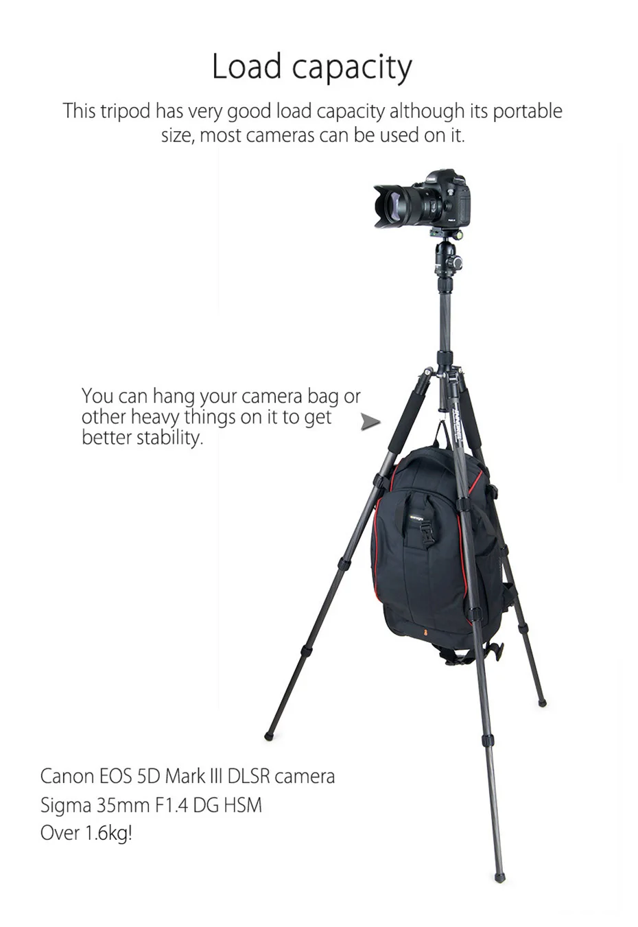 RT40C Carbon Fiber Camera Tripod Professional Travel Compact Tripod Video Monopo