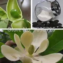 100% NATURAL GRIFFONIA SEED EXTRACT 20% 5 HTP 100% pure fenugreek seed extract methi extract