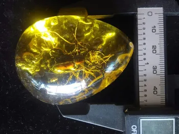 

The rich natural amber pendant necklace