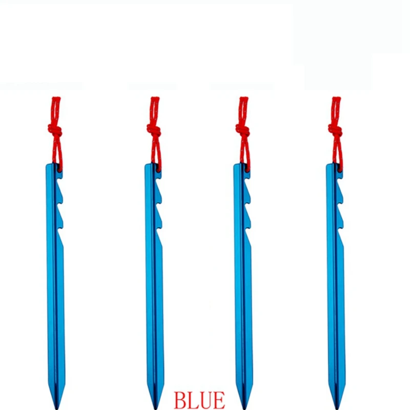 4358367253_1831022245