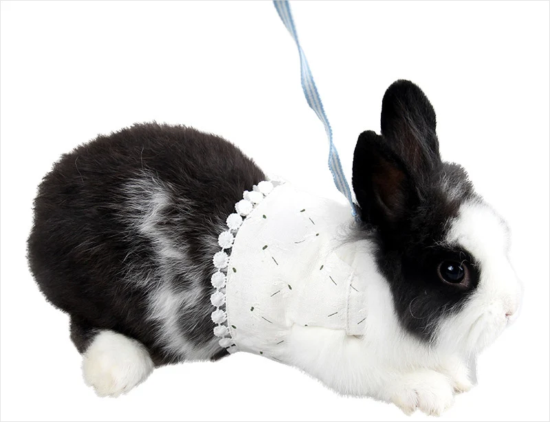White hamster harness leash set