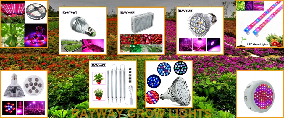 Plants Grow Lamps