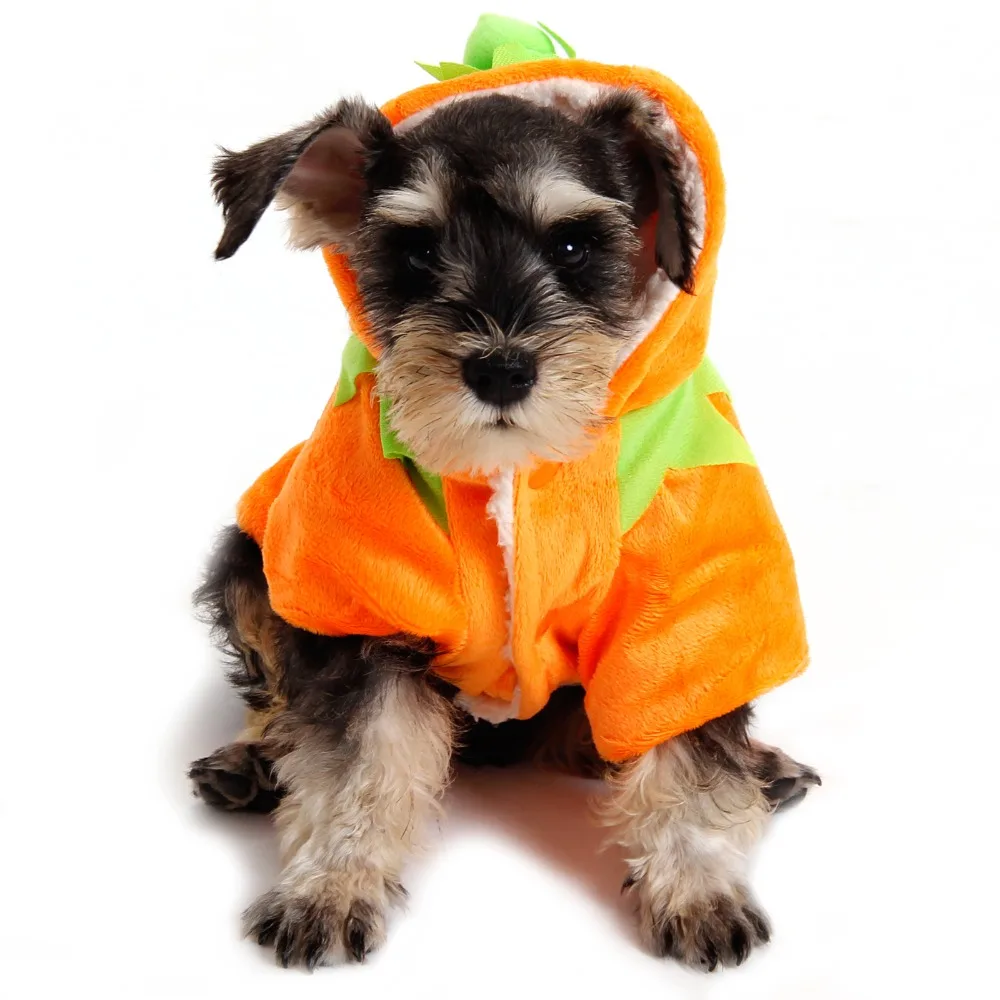 Buy Free Shipping Pet Dog Clothes Halloween Clothing