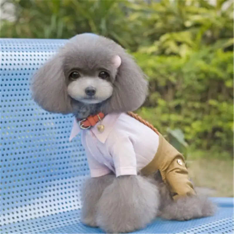 

Small Medium Pet Dog Clothes For Dog T-shirt Dog Knitted rope-strapped trousers 2019