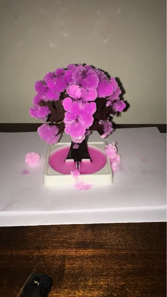 

2019 10PCS 10x8cm Artificial Magically Grow Paper Sakura Trees Magic Growing Tree Japan Desktop Cherry Blossom Toys For Children