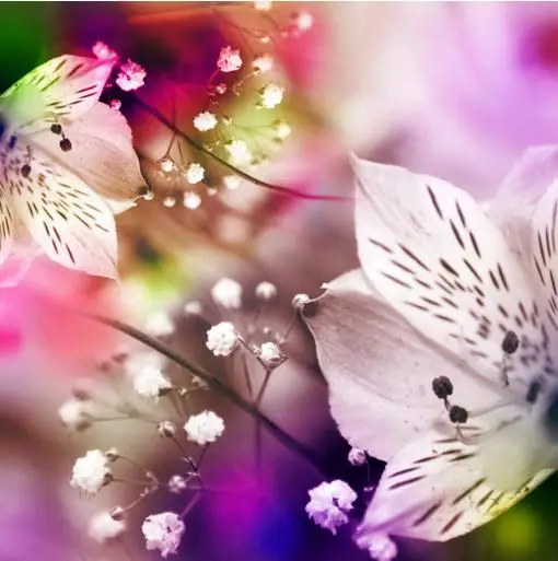 1000 Wallpaper Bunga Fantasi HD Terbaru 1000 Wallpaper Bunga Fantasi HD Terbaru
