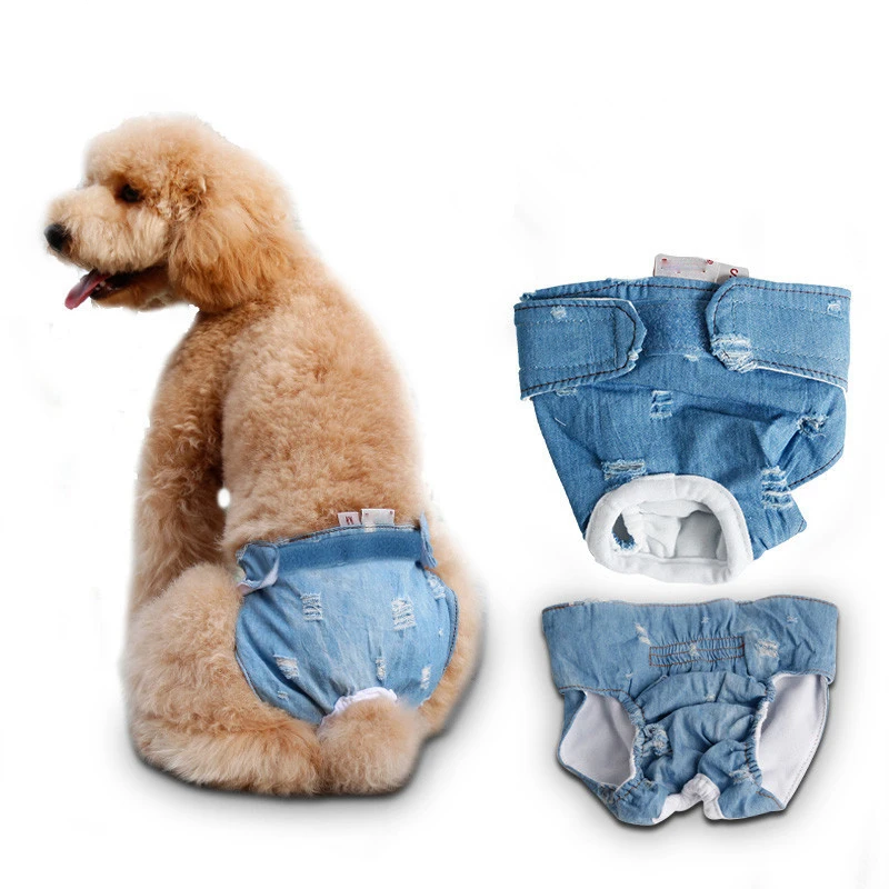 Buy Drop Shipping Upscale Special Jean Dog Period