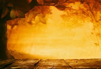 

Autumn Theme Backgrounds Art Fabric Yellow Lighting Scenery Baby Kids Backdrop Photography Wooden