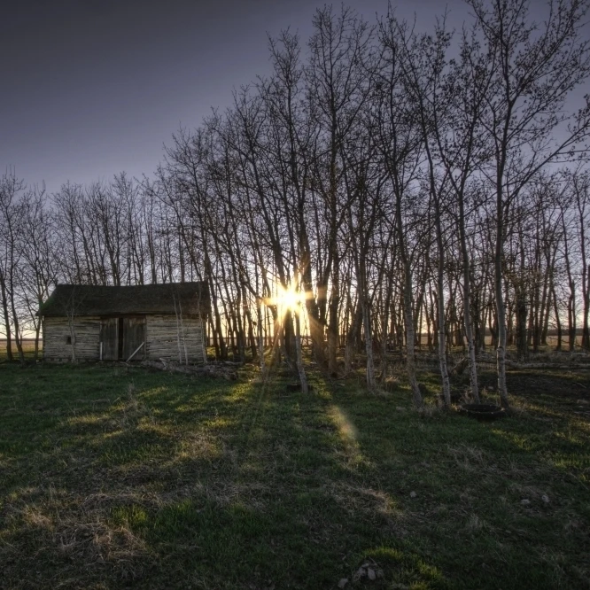 Old Prairie Homestead At Sunset  Northeast Of Fort Saskatchewan  Alberta Poster Print (17 x 11)