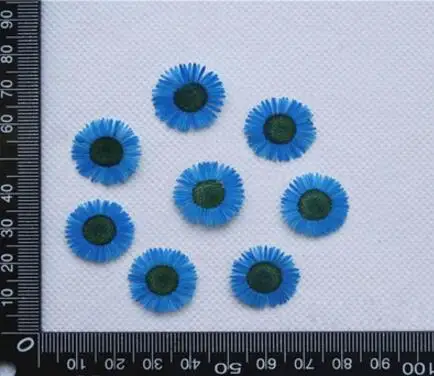 Royal Blue 120 шт прессованный высушенный Erigeron Annuus Цветочные растения Гербария для открытки с украшениями чехол для телефона Закладка DIY - Цвет: Royal Blue