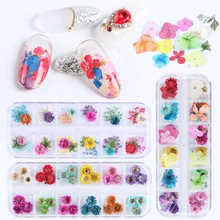 3d аксессуары для украшения ногтей, цветочный микс, цветочный лист, натуральный дизайн, сушеный цветок, лак для ногтей, наклейки, маникюрные SAF01-09