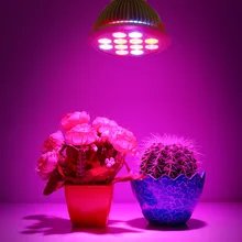 E27 12 Вт светодиодный Grow Light лампочка 12В светодиодный s для гидропонного выращивания растений огни в красном и синем цветах для сада Освещение для теплицы светодиодный Гроу тенты для лампы