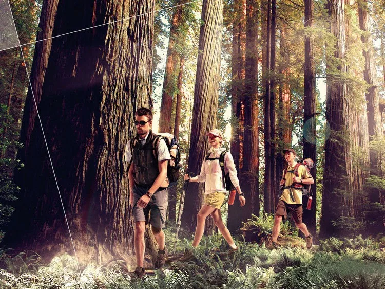 1896256637_436961213